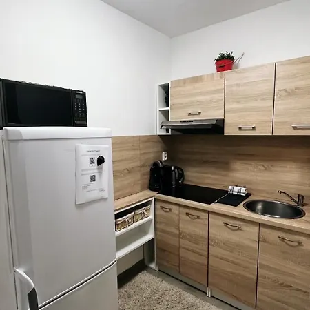 Apartment Fara No71 2 Libice nad Cidlinou