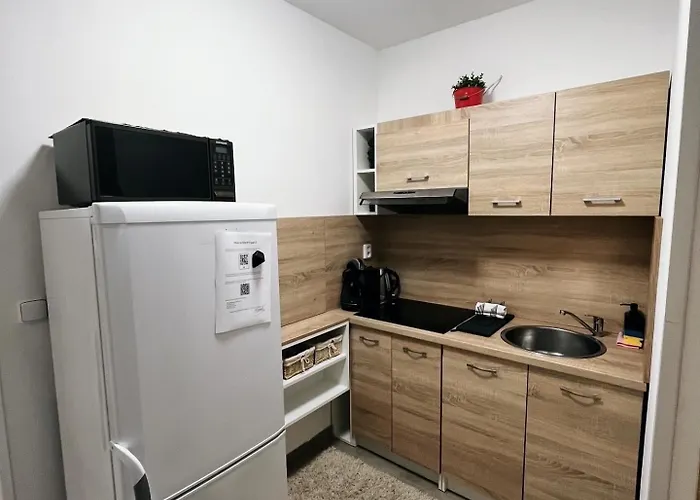 Appartement Fara No71 2 Libice nad Cidlinou